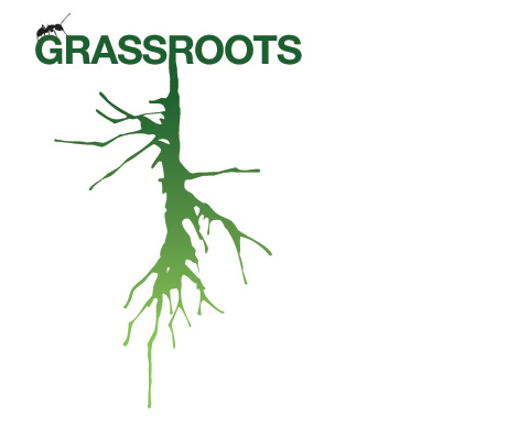 port_grassroots_01.jpg